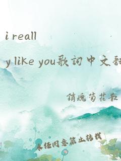 i really like you歌词中文翻译