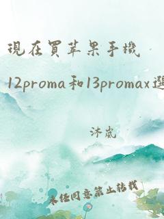 现在买苹果手机12proma和13promax选哪个?