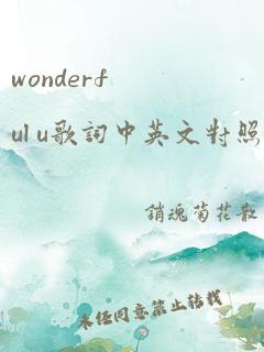 wonderful u歌词中英文对照