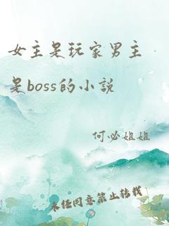 女主是玩家男主是boss的小说