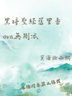 黑暗圣经旧里番ova无删减