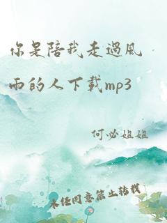 你是陪我走过风雨的人下载mp3