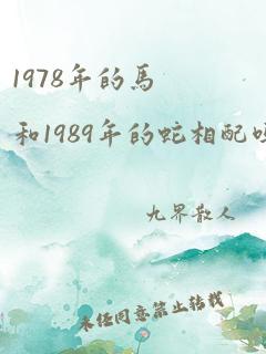 1978年的马和1989年的蛇相配吗