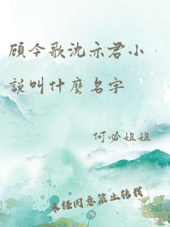 顾今歌沈亦君小说叫什么名字