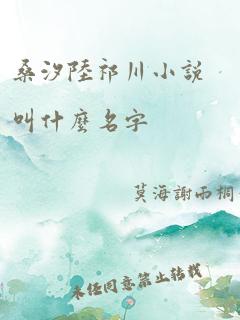 桑汐陆祁川小说叫什么名字