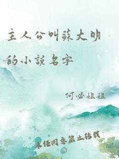 主人公叫苏大明的小说名字