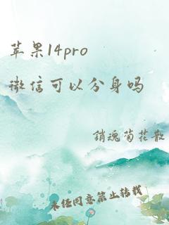 苹果14pro微信可以分身吗