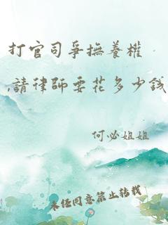 打官司争抚养权,请律师要花多少钱