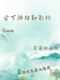 右下肺结节影约5mm