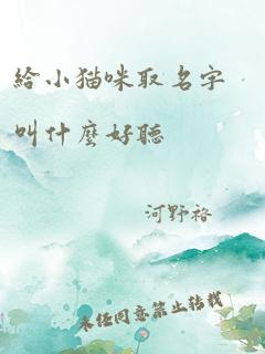 给小猫咪取名字叫什么好听