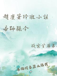 赵康萧玲珑小说帝师县令