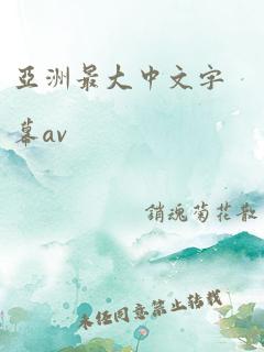 亚洲最大中文字幕av