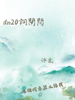 dn20铜闸阀