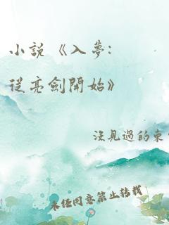 小说 《入梦:从亮剑开始》