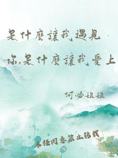 是什么让我遇见你,是什么让我爱上你歌曲