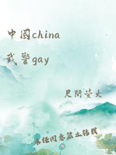 中国china武警gay