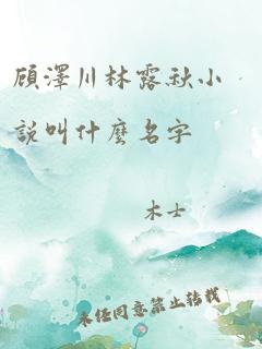 顾泽川林露秋小说叫什么名字