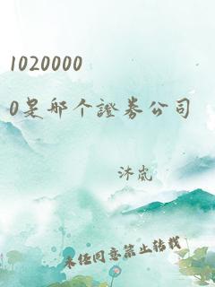 10200000是哪个证券公司