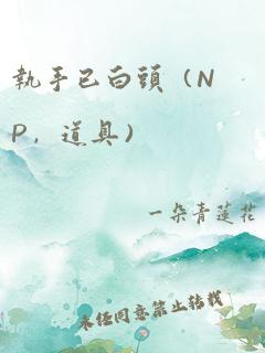 执手已白头（NP，道具）