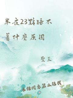 半夜23点睡不着什么原因