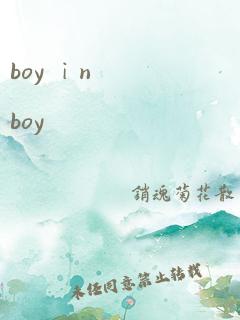 boy ⅰn boy