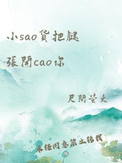 小sao货把腿张开cao你