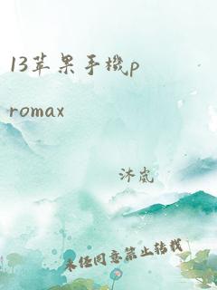 13苹果手机promax