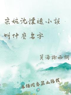 宋婉沈怀远小说叫什么名字