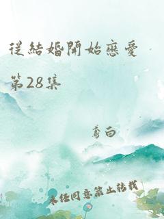 从结婚开始恋爱第28集