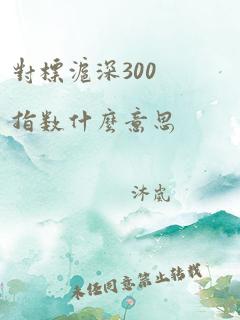 对标沪深300指数什么意思