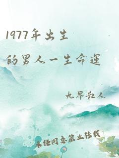 1977年出生的男人一生命运