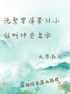 沈繁星薄景川小说叫什么名字