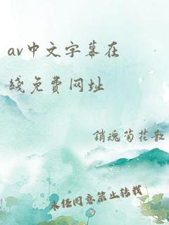 av中文字幕在线免费网址