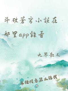 斗破苍穹小说在哪里app能看