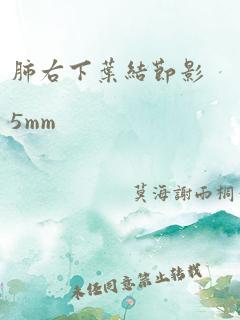 肺右下叶结节影5mm