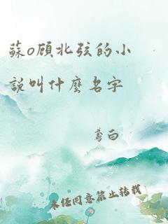 苏o顾北弦的小说叫什么名字