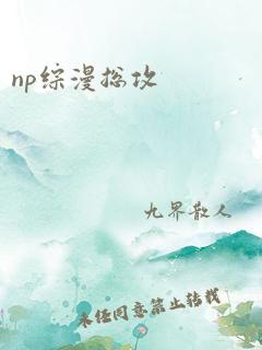 np综漫总攻