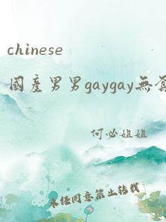 chinese国产男男gaygay无套