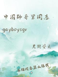 中国帅哥男同志gayboysgv