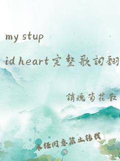 my stupid heart完整歌词翻译