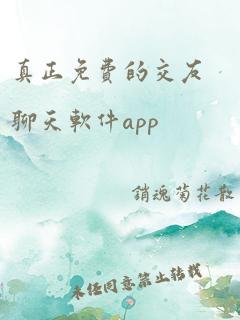 真正免费的交友聊天软件app