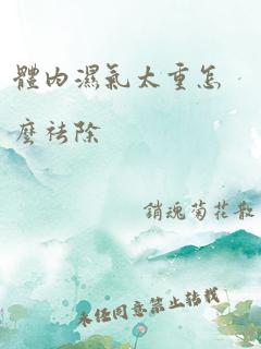 体内湿气太重怎么祛除