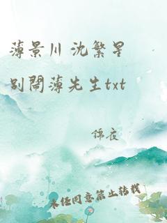 薄景川 沈繁星别闹薄先生txt