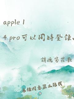 apple 14 pro可以同时登录两个微信吗