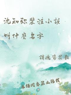 沈知弥裴淮小说叫什么名字