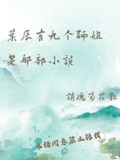 叶辰有九个师姐是哪部小说