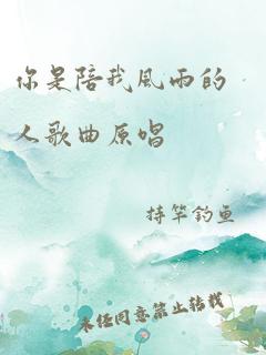 你是陪我风雨的人歌曲原唱