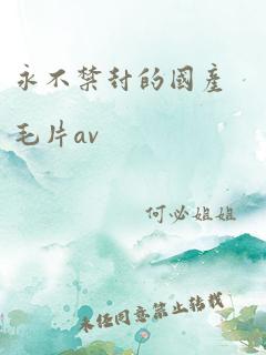 永不禁封的国产毛片av