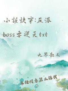 小说快穿:反派boss要逆天txt