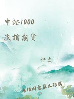 中证1000 股指期货